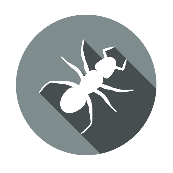 AntVerros.com